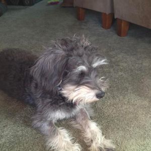 Meet your Posher, Celeste